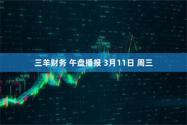 三羊财务 午盘播报 3月11日 周三