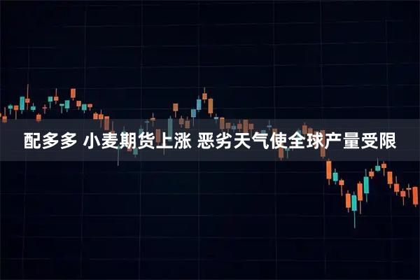 配多多 小麦期货上涨 恶劣天气使全球产量受限