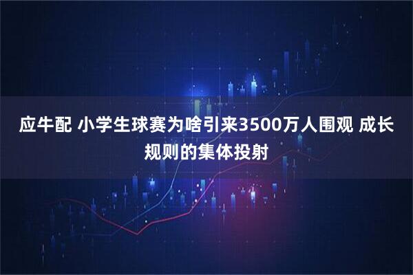 应牛配 小学生球赛为啥引来3500万人围观 成长规则的集体投射